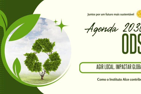 Árvore e folhas verdes, símbolo de sustentabilidade ambiental e ODS da Agenda 2030 da ONU, no blog do Instituto Alce.
